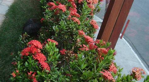 POUSADA DO SOL (Maceio) - Inn Reviews, Photos, Rate Comparison ...