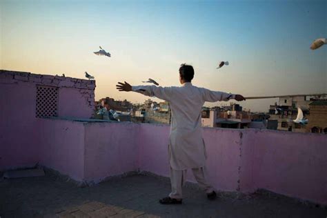 A race in the sky | Fountain Ink