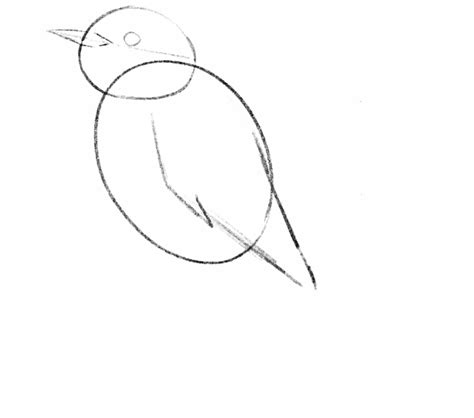 Image result for Drawing Birds Tutorial