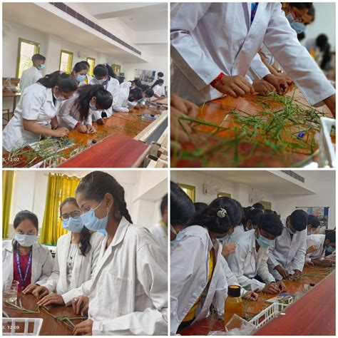 SAGE University Bhopal (@SAGEUniversity) • tooter.in - Tooter