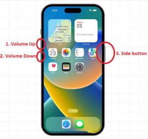 iPhone 12 Pro Max Screen Not Responding 的图像结果