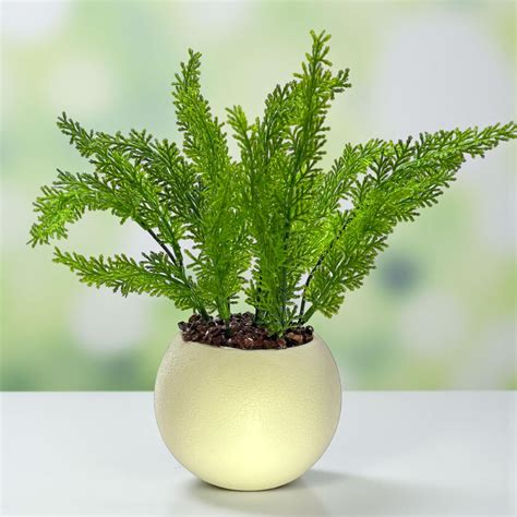 Buy SKYGREEN Artificial Plants with Pot | Small Plants with Pot | Fake ...