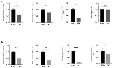 Metabolomic Profiling and Functional Characterization of Biochar from ...