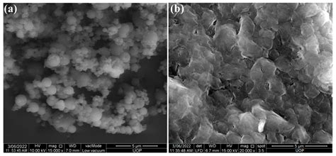 Formulation and Characterization of Ethyl Cellulose-Based Patches ...
