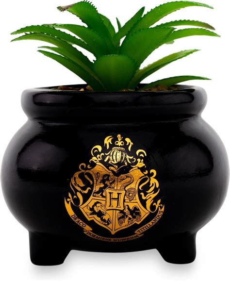 Amazon.com: Harry Potter Plant Pot, Stoneware, Blue, 150ml : Patio ...