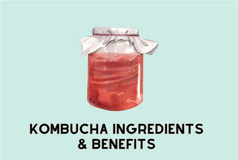Does Kombucha Make You Poop? [Digestion Benefits] [Full Guide]
