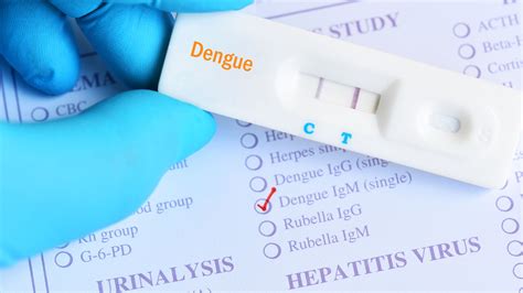 What Is The Fatality Rate Of Dengue And When It Becomes Life Threatening