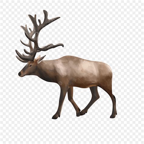 Mammals PNG Picture, Wild Mammal Elk Clip Art, Elk Clipart, Brown, Wild ...