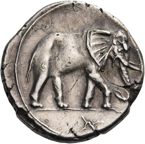 North African Elephant Extinct