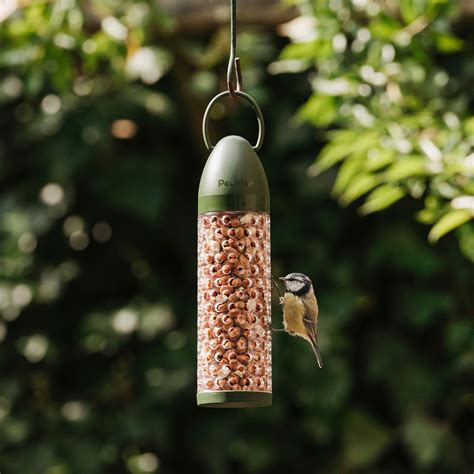 Peckish Peanuts Filled Feeder - Wild Bird Feeders – Peckish UK
