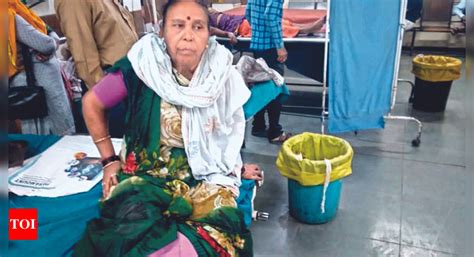 Stray dog bites 15 people in Waghodiya | Vadodara News - The Times of India