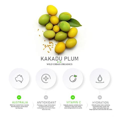 What Makes the Kakadu Plum a Nutritional Powerhouse? | by Danni Ellis | Jun, 2024 | Medium