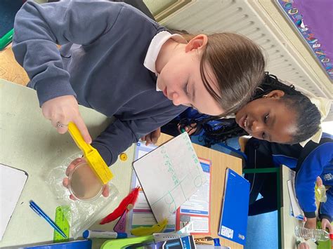 Science Working Model for Class 5 的图像结果