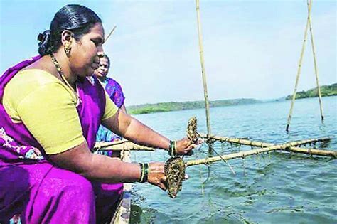A Place For Indian Oysters - From 1 Rupee Street Food To Fine Dining