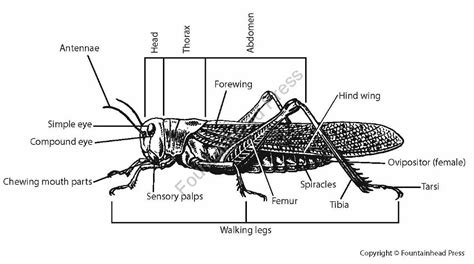 biology