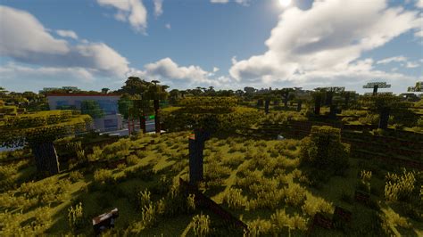 Image result for Java Runtime GPU Settings