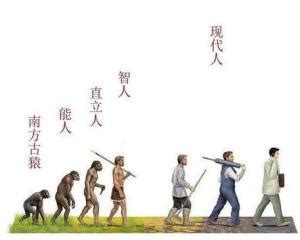人类进化过程_素材中国sccnn.com