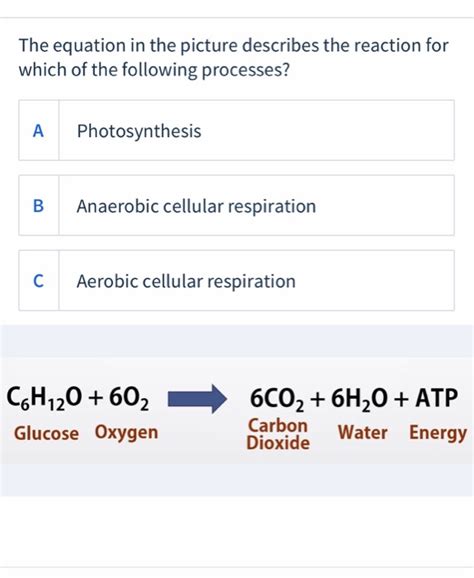 Cellular Respiration Equations