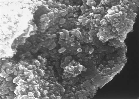 Alien Material 的图像结果