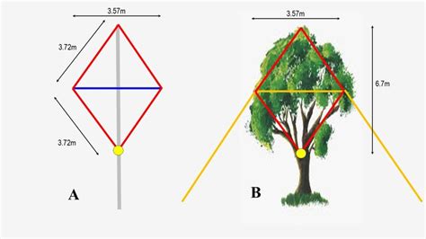 Image result for Machine Learning Classification Symbol
