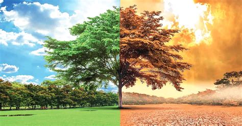 Climate Change will be most impactful risk facing worldwide in coming times