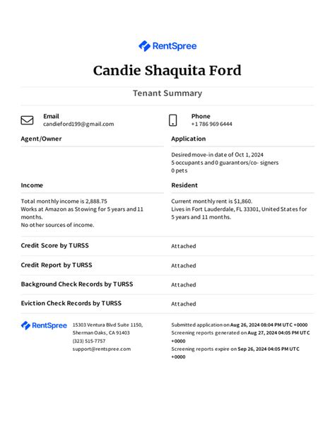 Image result for TransUnion Credit Report