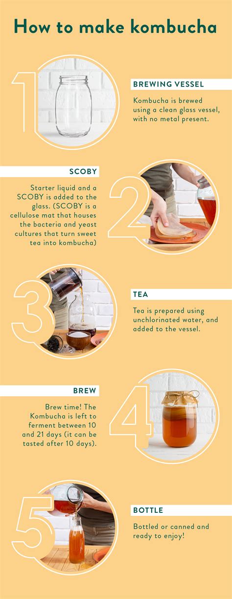 Health Effects Of Kombucha at Ella Hogarth blog