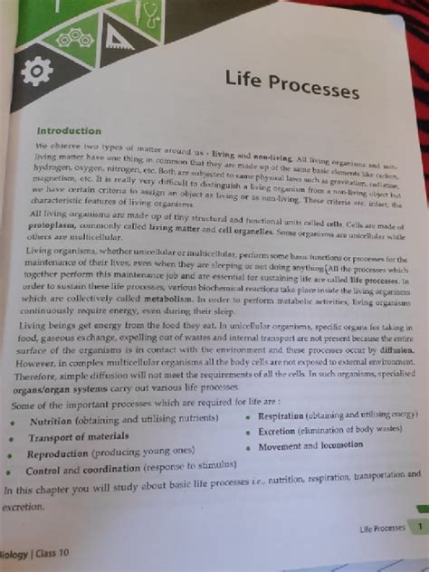 Chapter Life Processes Class 10 Shubham Pathak 的图像结果