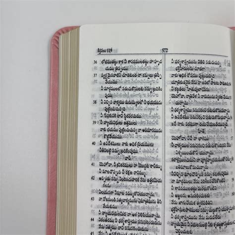 Telugu Trim-Line Bible – PU Pink Edition with Metal Buckle Flap (NAP ...