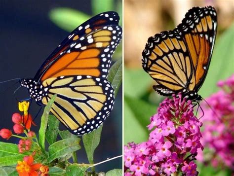 Define Ecosystem 的图像结果