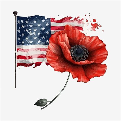 Premium Vector | Beautiful watercolor illustration poppy flower and american flag