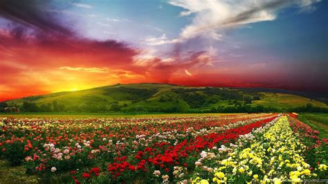 Image result for Perfect Square Example Math