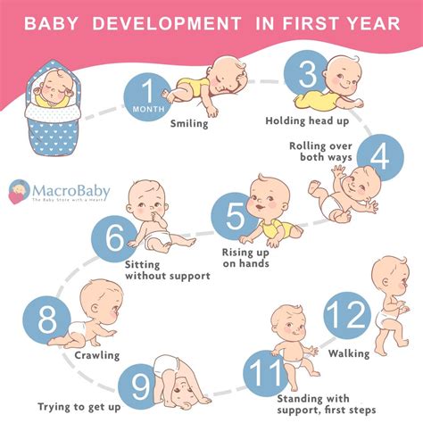 Baby Development Stages – Baby Development Stages Month By Month – NSBJ - stages of baby development