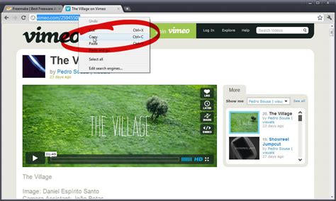 Copy URL Video Download 的图像结果