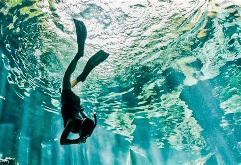 MAGIC EXPERIENCES (2025) All You Need to Know BEFORE You Go (with ...