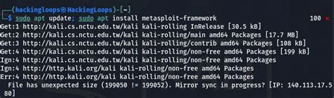 Image result for How to Update Plugins On Metasploit