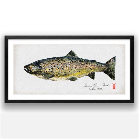 German Brown Trout – Pacific Gyotaku