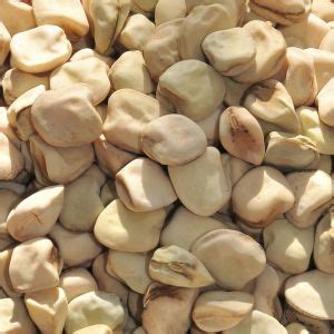 justcooking.in - Food Dictionary - Cereals - Indian Vetch