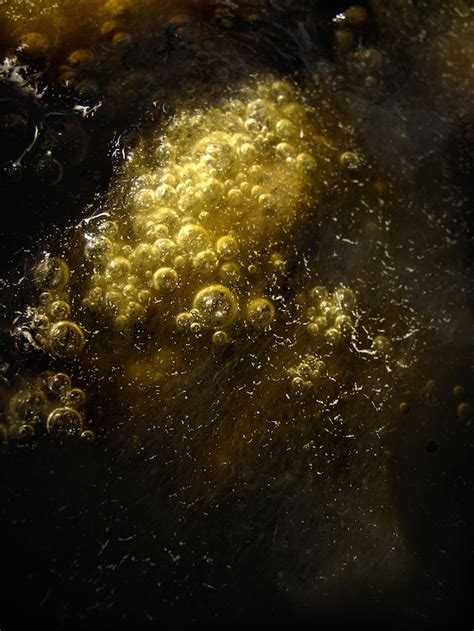 Nature Paper Abstract 的图像结果