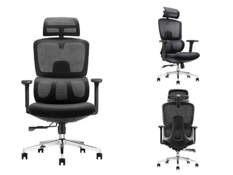 Buy Imported Office Chairs Premium Office Chairs