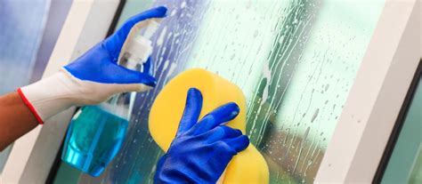 Image result for Window Cleaner Helper