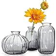 Buy Nostrae by Ekhasa 100% Crystal Clear Glass Bud Vases Flower Pots ...