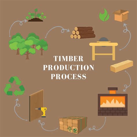 Image result for Timber Manufacturing Process