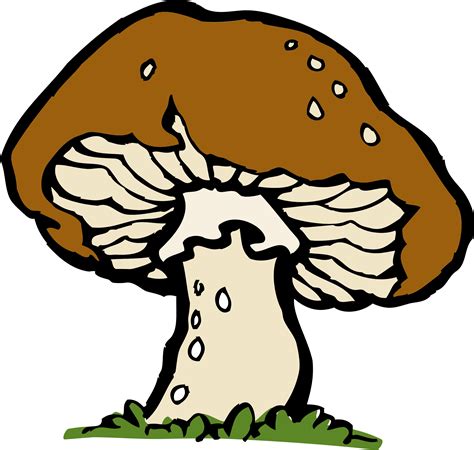 Clipart - big mushroom