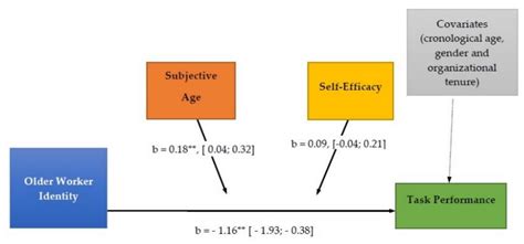 Older Worker Identity and Job Performance: The Moderator Role of ...