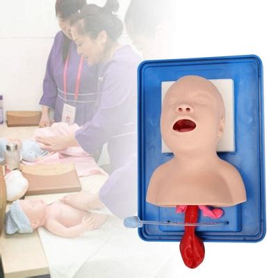 DENEST Mannequins Baby Model with Tube Teaching India | Ubuy