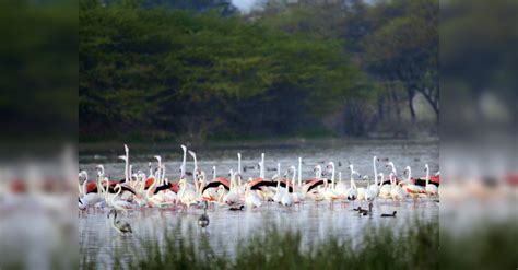 Participants of Amrit Dharohar Capacity building training to be ...