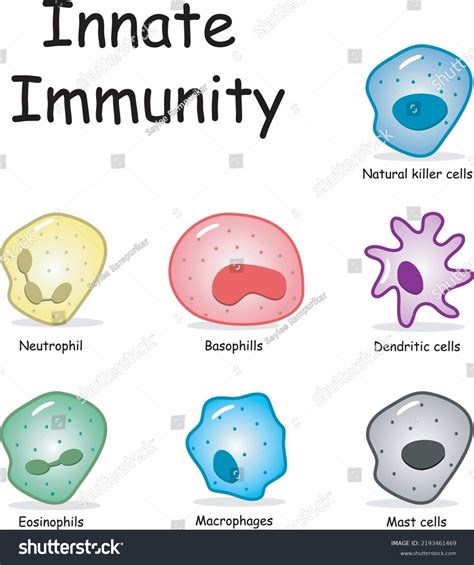 Immunity System 的图像结果
