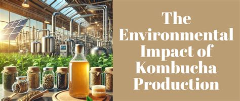 How Kombucha Production Impacts the Environment – Grabenord