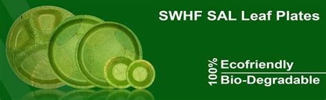 SWHF Bio Degradable Disposable Plates | Eco Friendly | Wedding ...